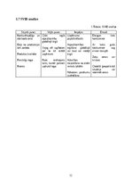 Diplomdarbs 'Skolēnu mācību uzņēmums “UTOPIA”', 12.