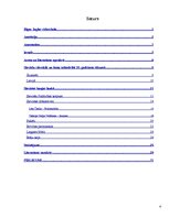 Referāts 'Sieviešu loma Brīvības cīņās', 4.