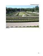 Referāts 'Sieviešu loma Brīvības cīņās', 42.