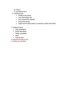 Prezentācija 'Kristofors Kolumbs', 16.