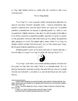 Eseja 'Iņ un Jaņ teorija Ķīnas tradicionālajā medicīnā', 3.