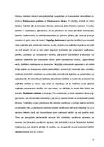 Referāts 'Konkurence. Konkurences nozīme uzņēmējdarbībā. SIA X darbība konkurējošā tirgū', 23.