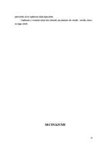 Referāts 'Konkurence. Konkurences nozīme uzņēmējdarbībā. SIA X darbība konkurējošā tirgū', 29.