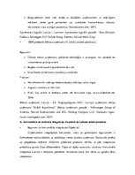 Konspekts 'Stratēģiskās vadības teorijas seminārs', 8.