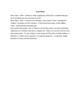 Biznesa plāns 'Biznesa plāns Ritmu studijai', 3.