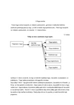 Biznesa plāns 'Biznesa plāns Ritmu studijai', 5.