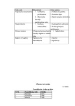 Biznesa plāns 'Biznesa plāns Ritmu studijai', 16.