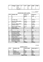 Biznesa plāns 'Biznesa plāns Ritmu studijai', 19.