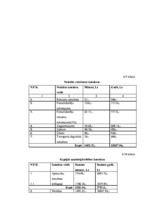 Biznesa plāns 'Biznesa plāns Ritmu studijai', 20.