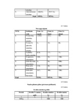 Biznesa plāns 'Biznesa plāns Ritmu studijai', 21.