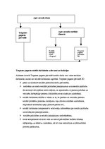 Referāts 'Trapenes pagasta sociālās vides analīze', 15.