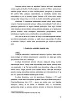 Referāts 'X produkta ieviešanas iespējas Y valstī', 12.