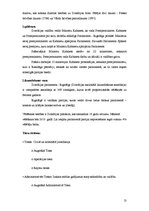 Referāts 'X produkta ieviešanas iespējas Y valstī', 13.