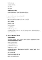 Konspekts 'Skaņu "z" un "s" korekcijas strukturālais plāns', 4.