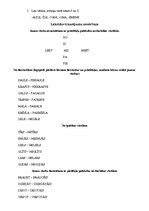 Konspekts 'Skaņu "z" un "s" korekcijas strukturālais plāns', 6.