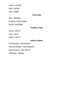 Konspekts 'Skaņu "z" un "s" korekcijas strukturālais plāns', 7.