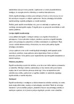 Eseja 'Digitālā transformācija ekonomikā: iespējas un izaicinājumi', 2.