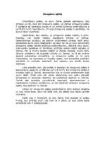 Eseja 'Smaguma spēks', 1.