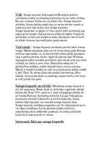 Konspekts 'Sniega leopards', 3.