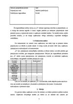 Referāts 'Mārketinga plāns uzņēmumā "X"', 6.