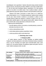 Referāts 'Mārketinga plāns uzņēmumā "X"', 7.