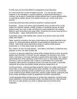 Eseja 'Sociālās vides loma personības attīstībā un pedagoģiskā procesa īstenošanā', 1.