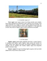 Referāts 'Vagonu veidi un to izmantošanas iespējas', 12.