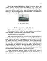 Referāts 'Vagonu veidi un to izmantošanas iespējas', 21.