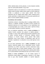 Eseja 'Apdrošināšanas nozīme mūsdienu ekonomikā un sabiedrībā: veidi, funkcijas, tenden', 2.