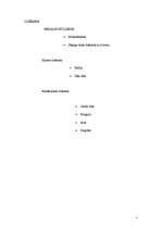 Paraugs 'Piknika galds kursa salidojumam', 5.