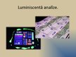 Prezentācija 'Luminiscence', 7.