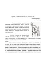 Referāts 'Anglijas romānika un gotika', 4.
