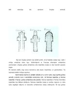 Referāts 'Anglijas romānika un gotika', 7.