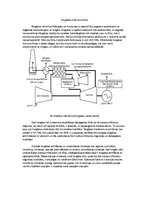 Referāts 'Biogāzes elektrostacija', 5.