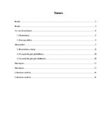 Referāts 'Li-ion akumulatoru kontrolieri', 2.