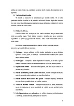 Referāts 'Vadītāja loma uzņēmuma darbības efektivitātes nodrošināšanā', 6.