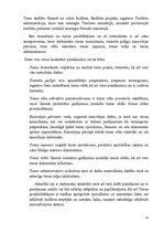 Prakses atskaite 'Prakses atskaite', 11.