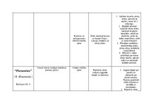 Konspekts 'Kultūras izpratnes un pašizpausmes mākslā mācību jomas saturs un mācīšanās pieej', 7.