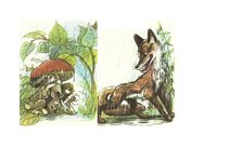 Konspekts 'Kultūras izpratnes un pašizpausmes mākslā mācību jomas saturs un mācīšanās pieej', 15.