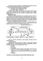 Referāts 'Alerģija', 13.