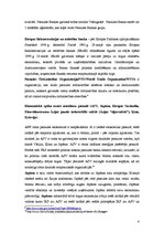 Konspekts 'Ekonomikas starptautiskie aspekti. Integrācija pasaules ekonomikā', 4.