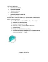 Referāts 'Ķermeņa kopšanas nozīme', 8.