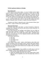 Referāts 'Informatīvi motivējoša lekcija mutes dobuma profilaksē', 6.