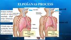 Prezentācija 'Elpošanas process', 3.