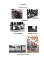 Referāts 'Dragreiss Latvijā', 43.