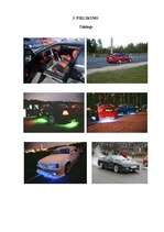 Referāts 'Dragreiss Latvijā', 46.