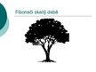 Prezentācija 'Fibonači skaitļi dabā', 5.