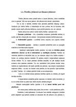 Konspekts 'Ievads tiesību teorijā', 5.