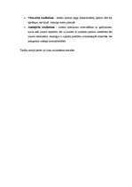 Konspekts 'Ievads tiesību teorijā', 10.