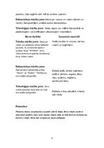 Prakses atskaite 'Pirmsskolas kvalifikācijas prakse un filmētais eksāmens', 6.